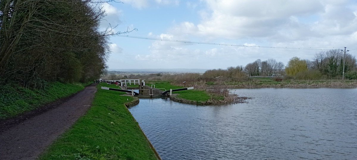 Neil Pellinacci tweet media