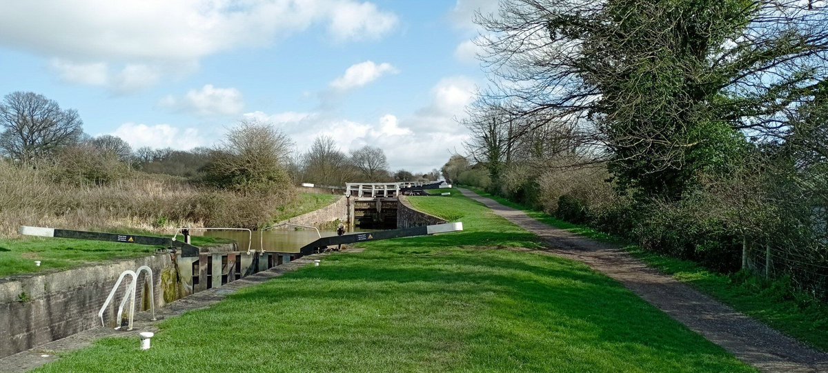 Neil Pellinacci tweet media