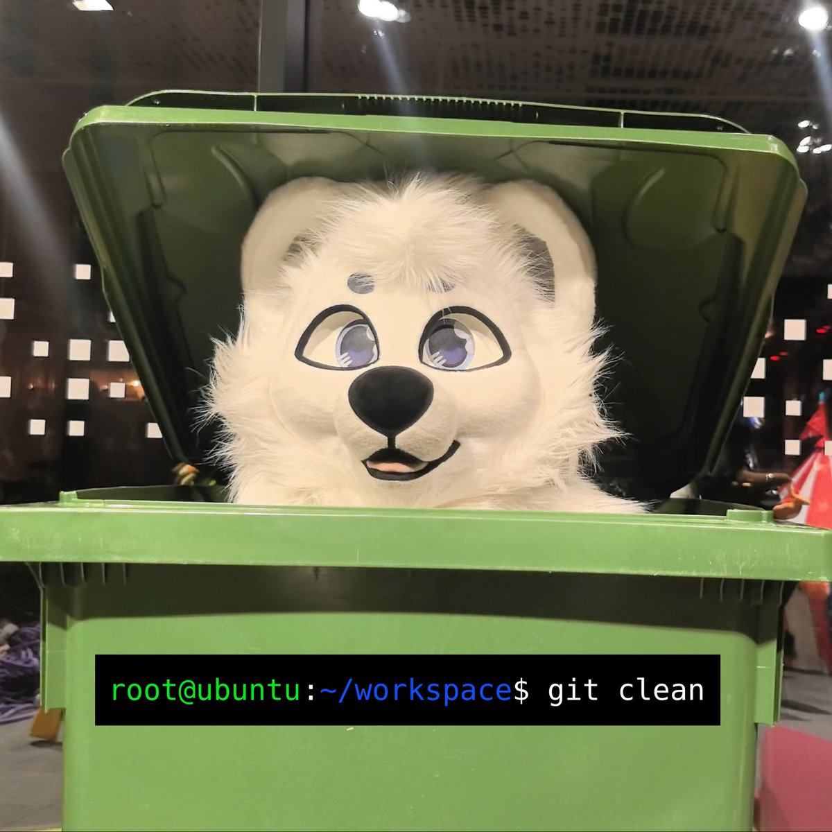 WolframLiu 一条欢 🔜 Pawske tweet media