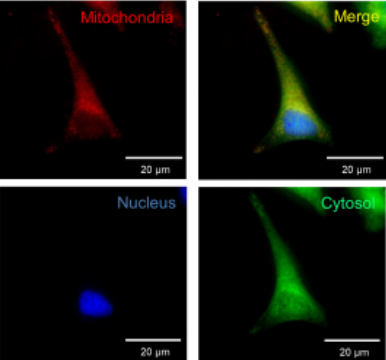 RPMC Lasers, Inc. tweet media