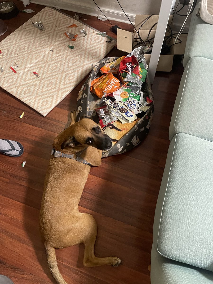 Blue Collar Apprentice tweet media