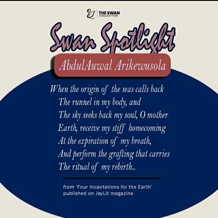 the Swan Collective tweet media