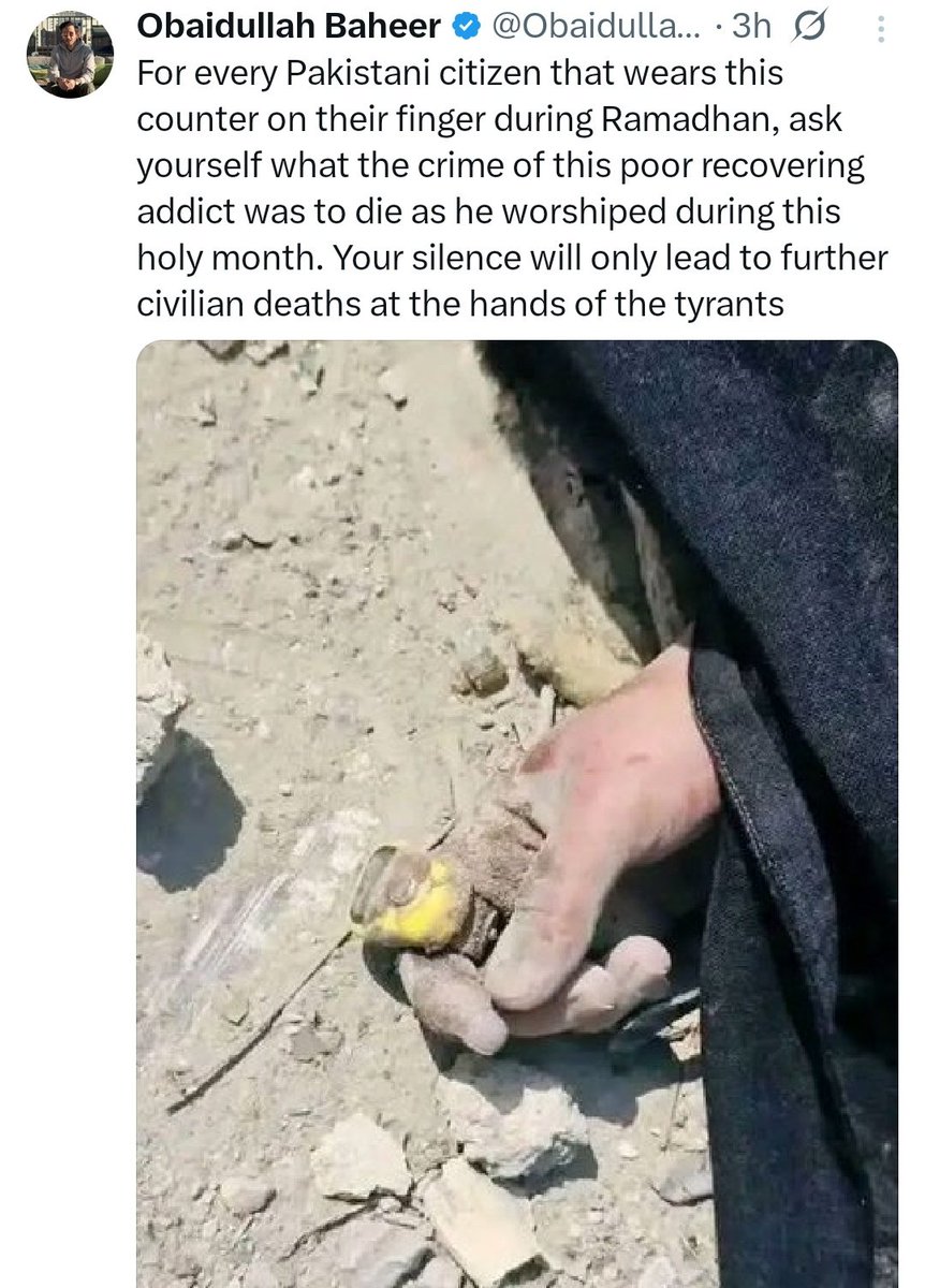 the penguin who walked away tweet media