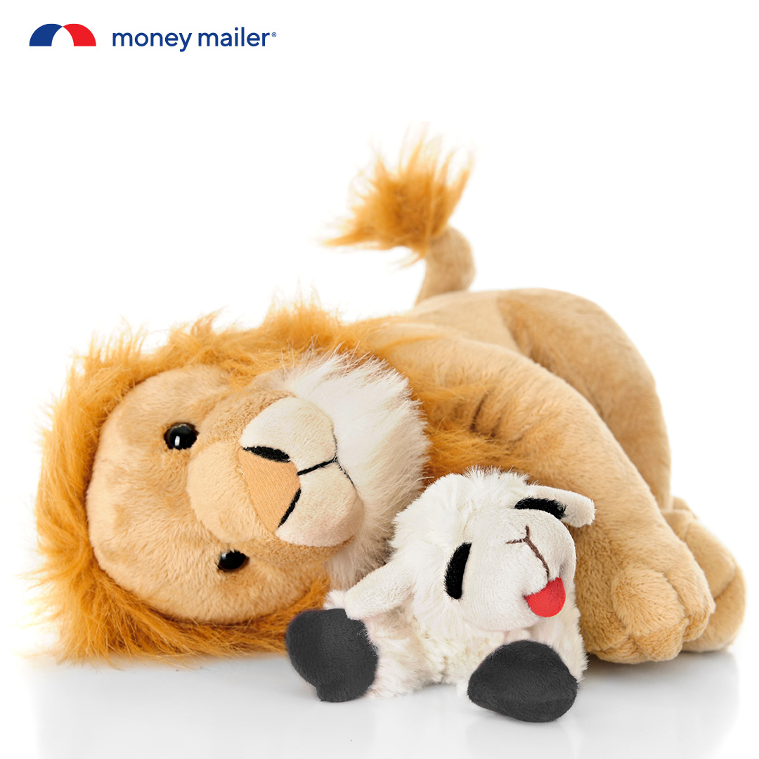 Money Mailer tweet media