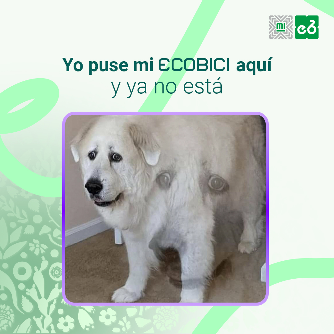ECOBICI CDMX tweet media
