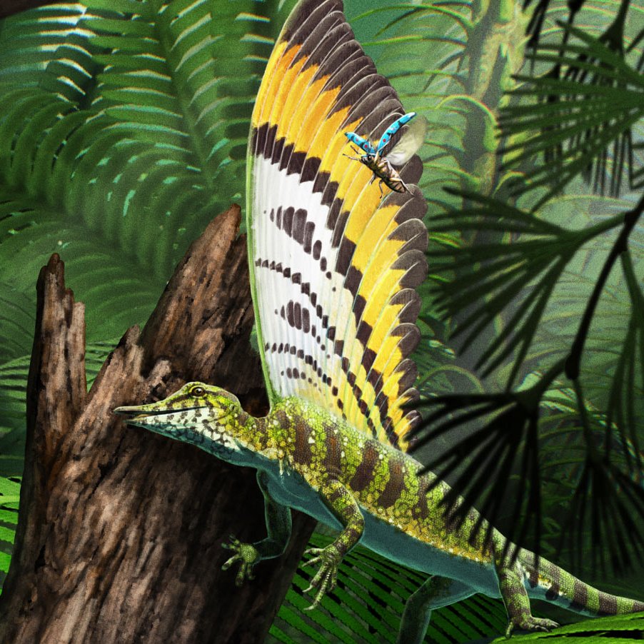 Tess Gallagher🦕(@tessasaurus.bsky.social) tweet media