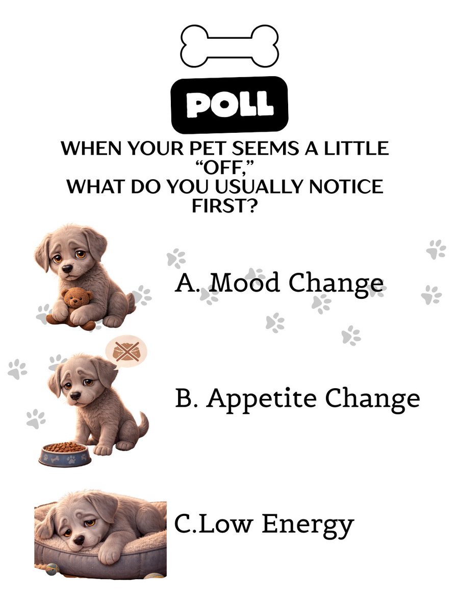 YourpetsPOV's tweet photo. Sometimes it’s not obvious… your pet just feels a little different 🐾

Not sick. Not dramatic. Just slightly off.

The question is… what do you usually notice first? 👀

Drop your answer below ⬇️
A, B, or C

Let’s see what most pet parents pick.

#dogmemes #dogbehavior #vet https://t.co/f2tUpvfp3Y