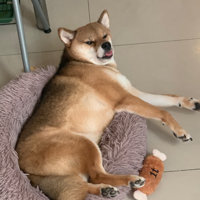 yahou34's tweet photo. #NewProfilePic (新個人資料照片) https://t.co/1Odmg2w7of