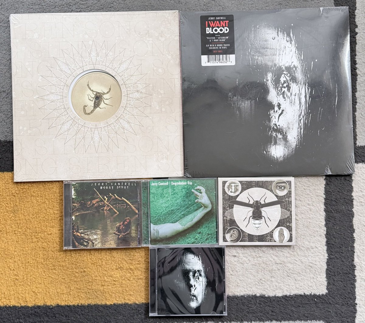 Feña Schell tweet media