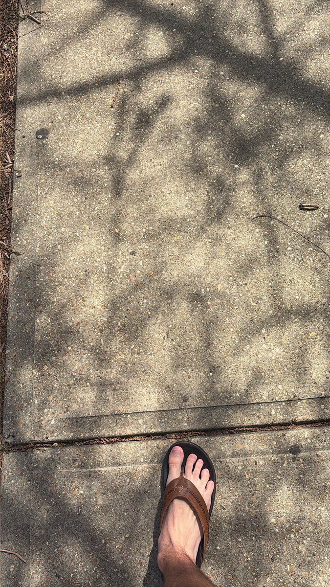 Olukai Bandit tweet media