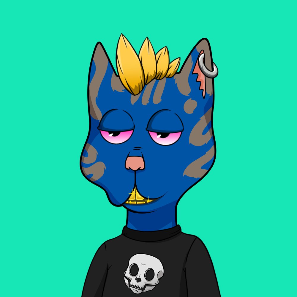 Boss Cat Rocket Club Sales tweet media