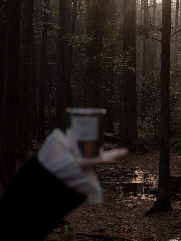 kelly mcgrath tweet media