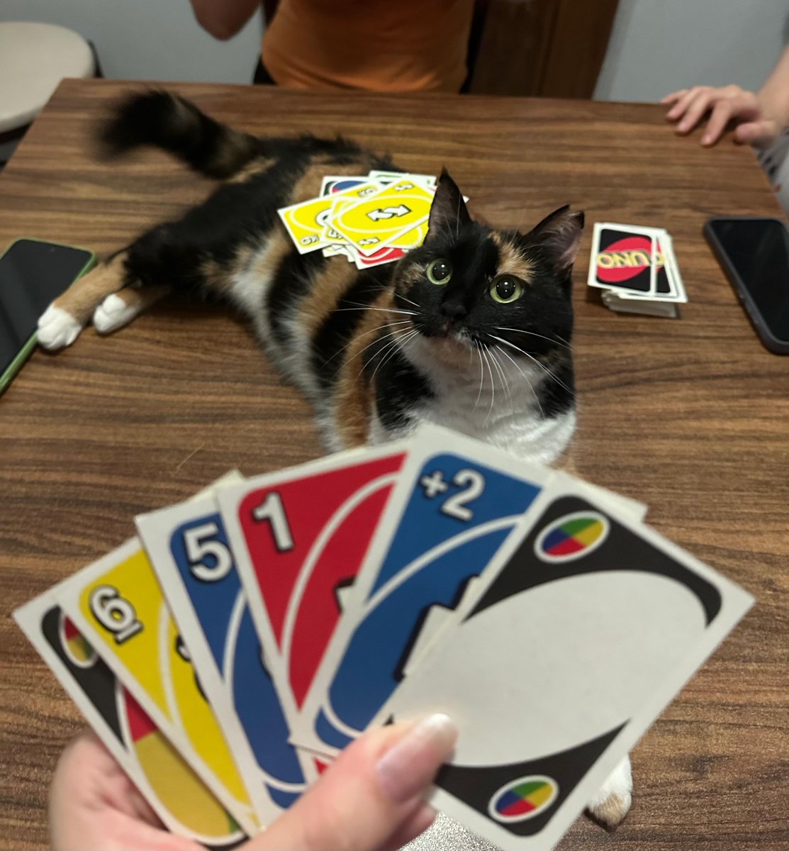 Kivi 🥝 tweet media