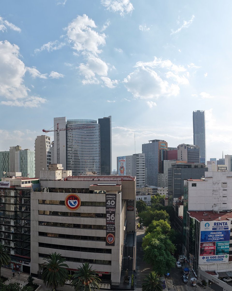 c13studio tweet media