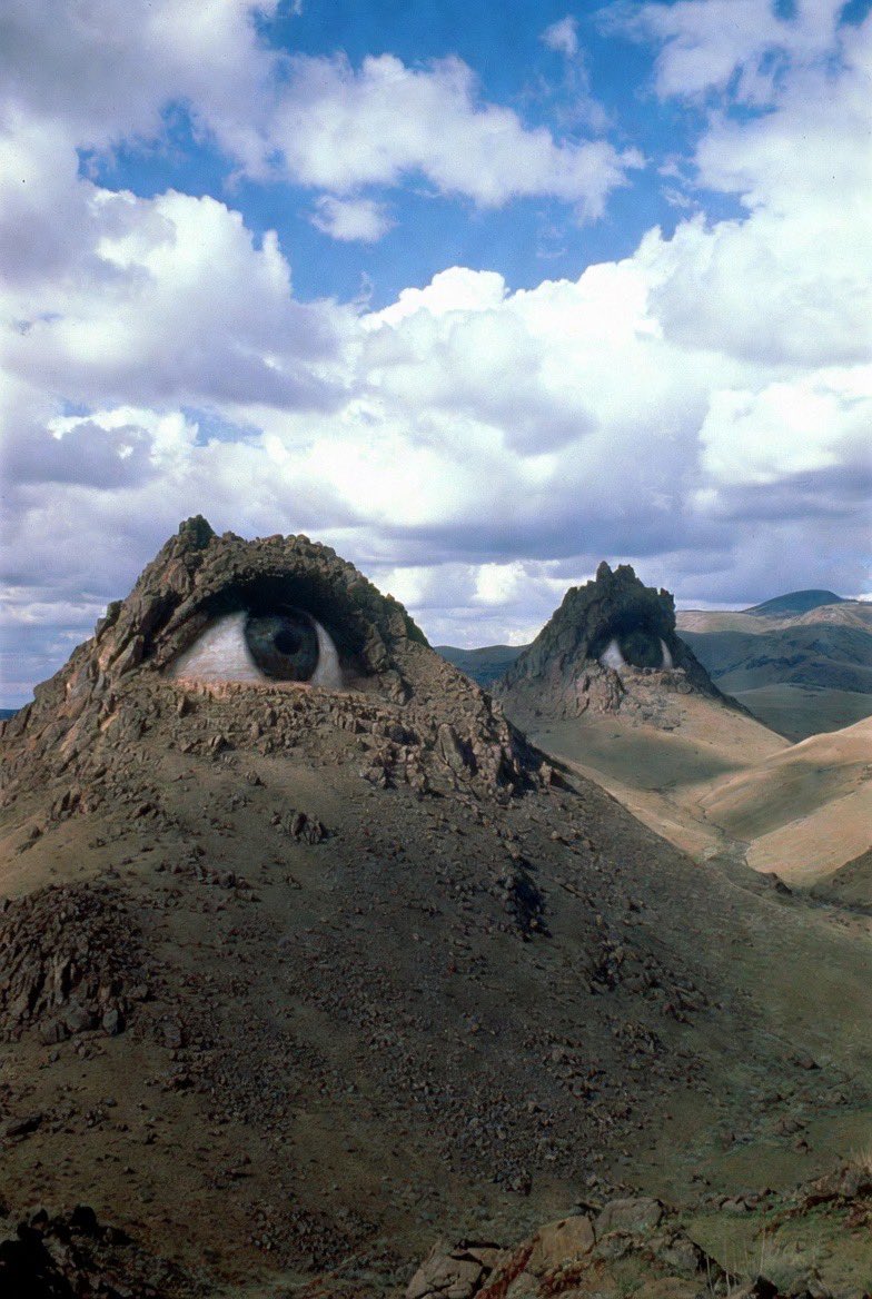 JoeyDoge42069 tweet media