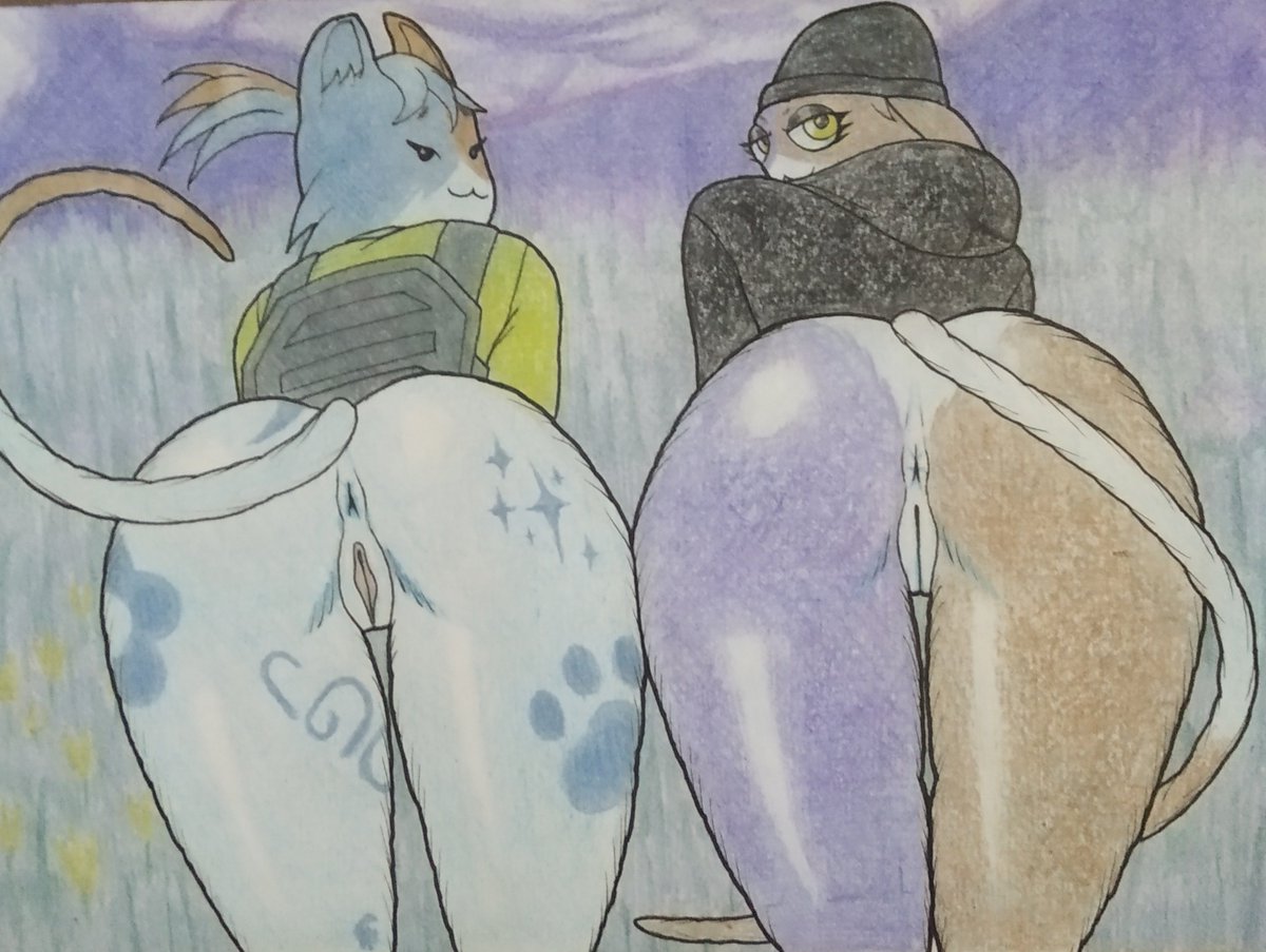 Ciphna ๐ฆ๐ tweet media