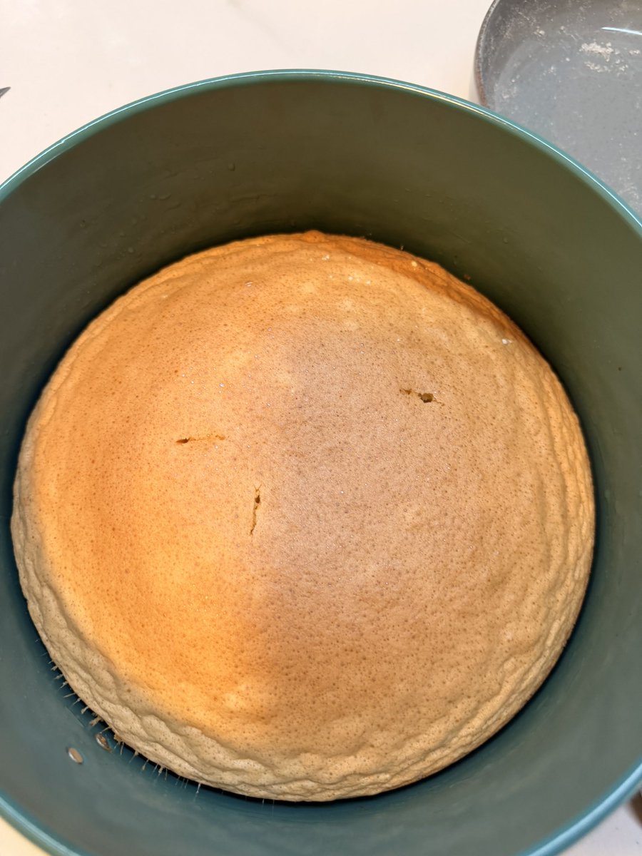 Solk.nutri tweet media