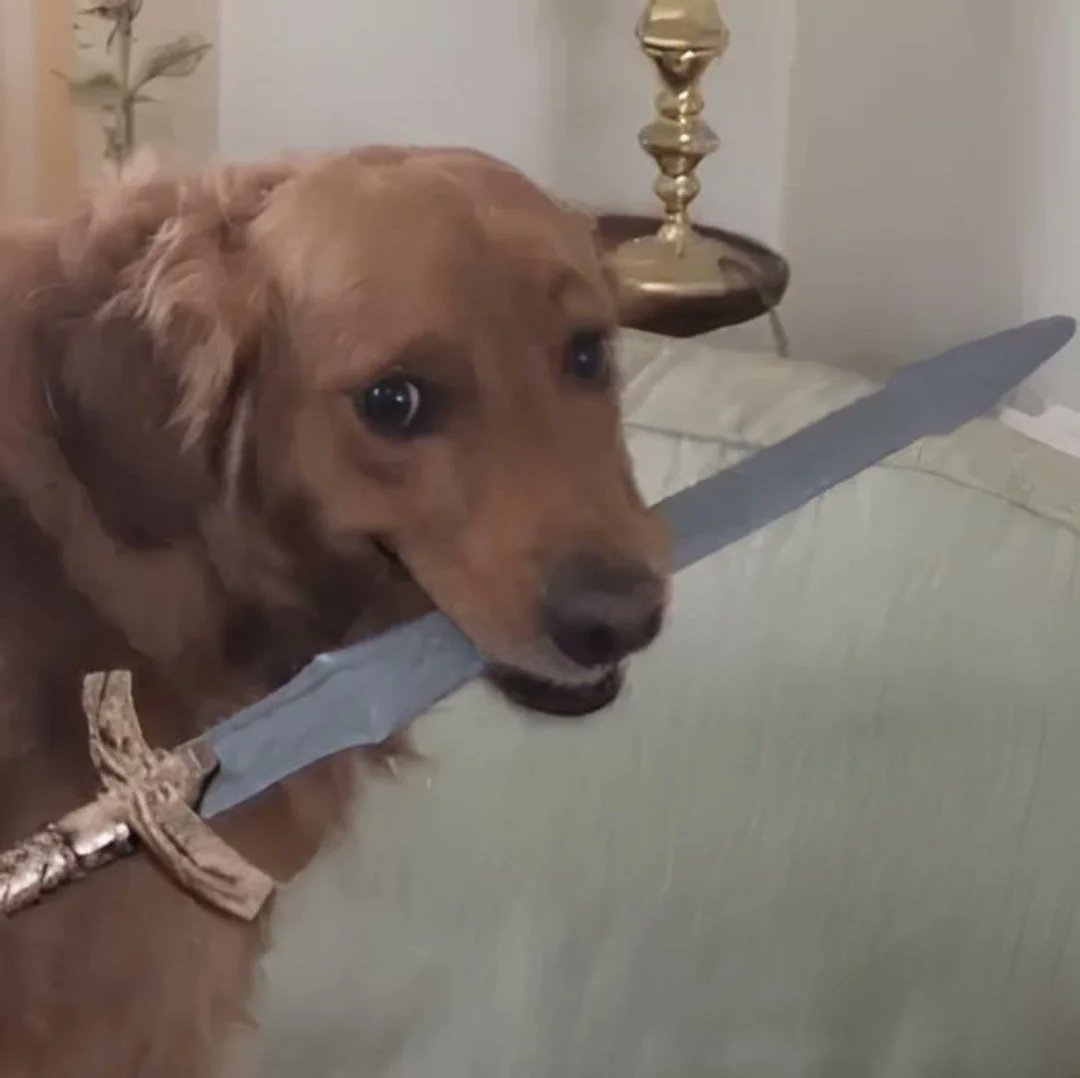 PointlessHub tweet media