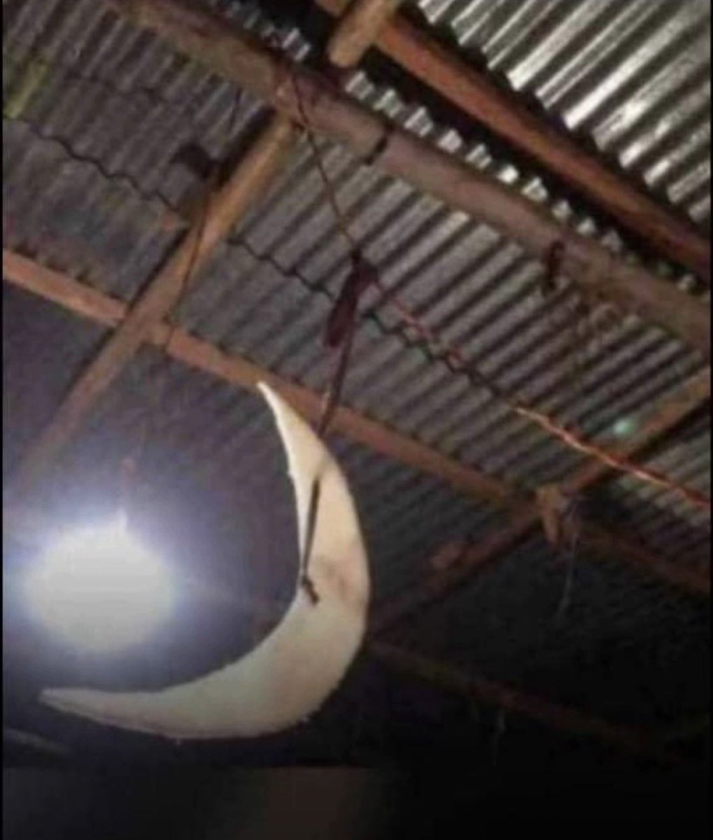 Unscripted tweet media