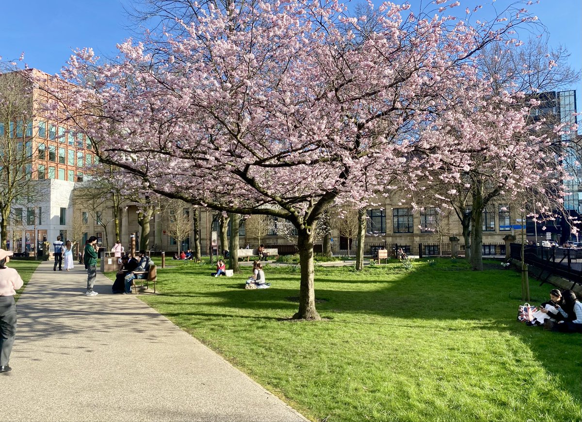 Sarah Keaveny tweet media