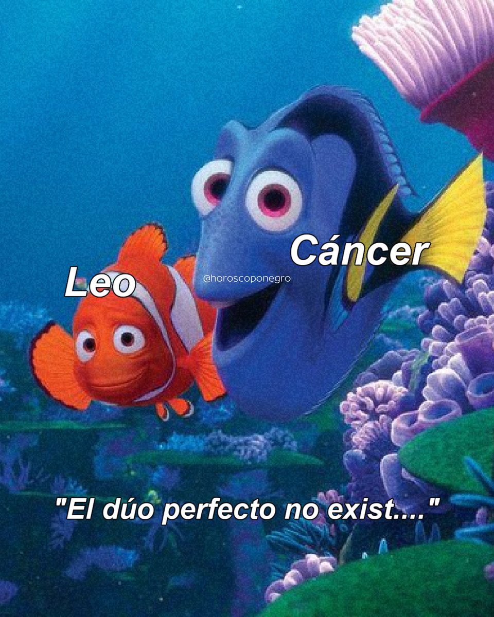 ▲LEO▲ tweet media