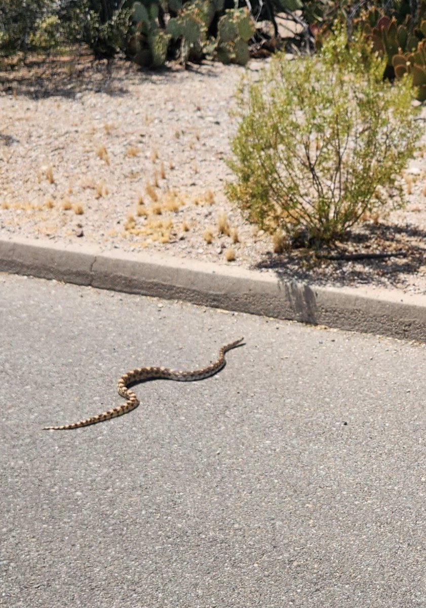 Odds and N's tweet media