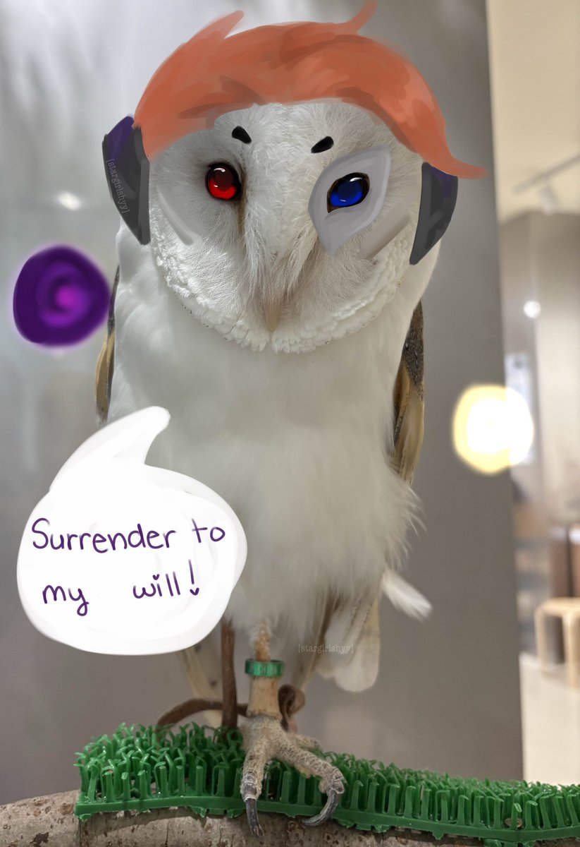 𓆩☆𓆪 Sana ! Dva ceo tweet media