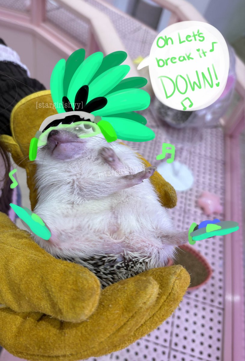 𓆩☆𓆪 Sana ! Dva ceo tweet media