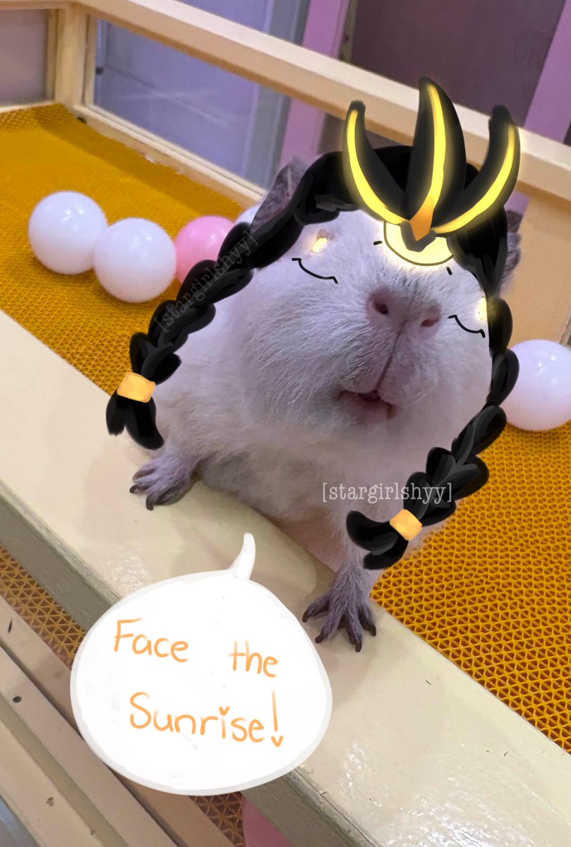 𓆩☆𓆪 Sana ! Dva ceo tweet media