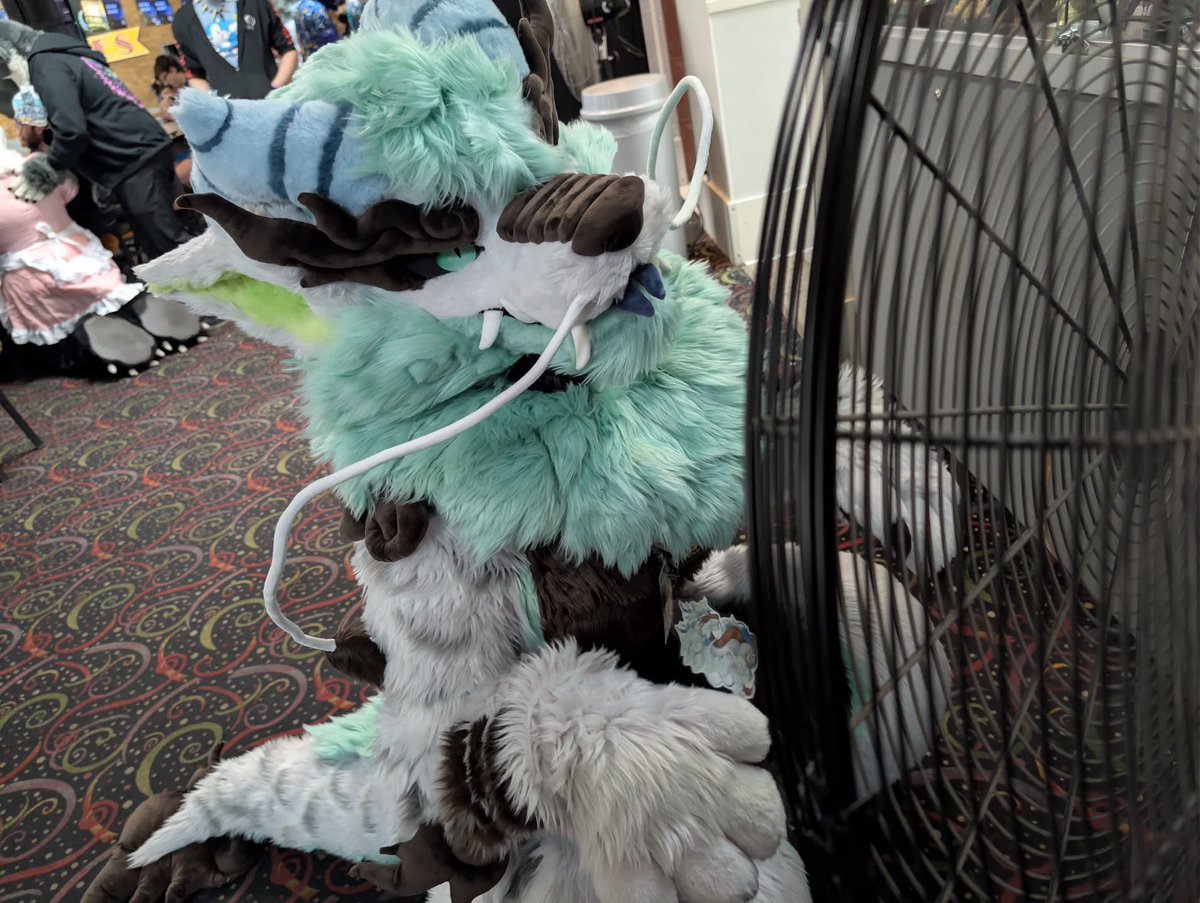 Big fan of whatever this is :) 

#furmony