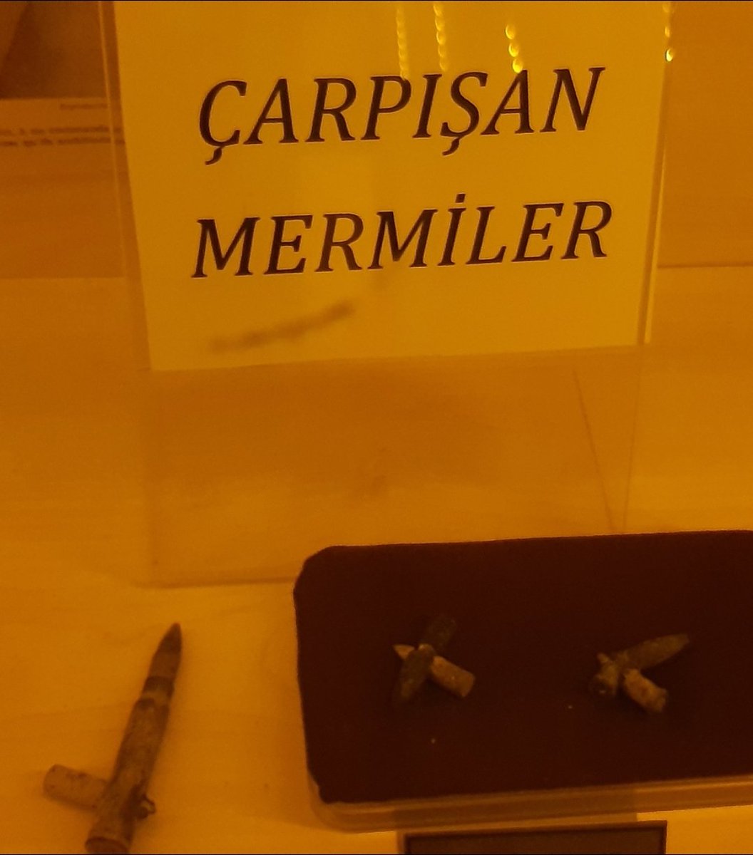 EminAyanoglu's tweet photo. @GabriealaNappi https://t.co/9wBUtcqLey