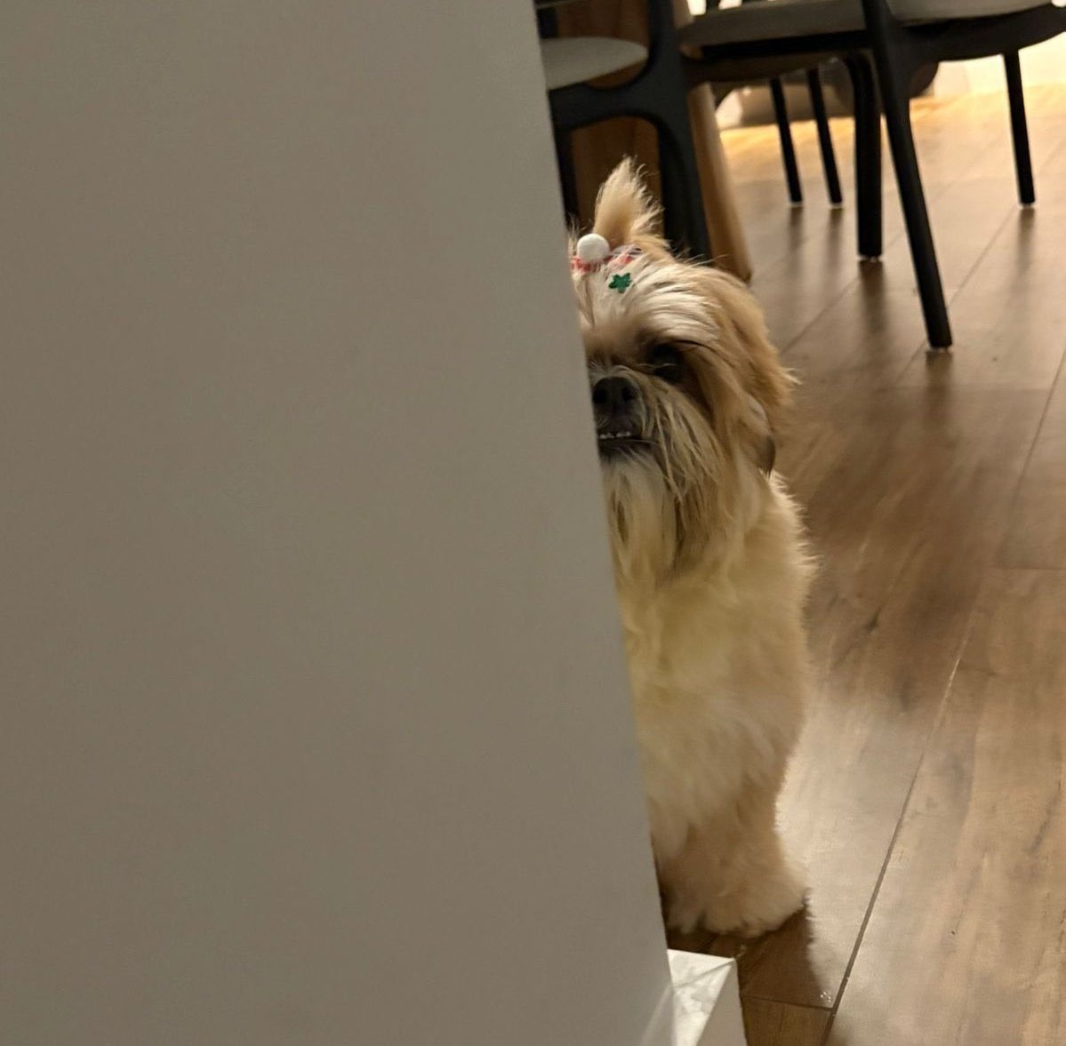 moonkase tweet media