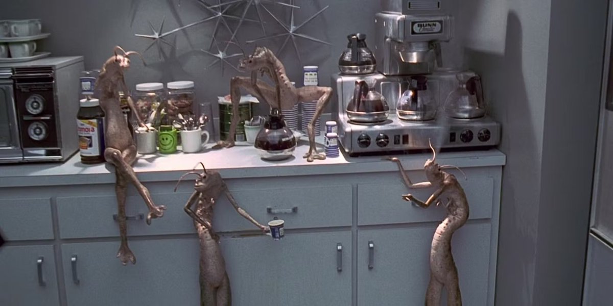 Wanderley Majeski tweet media