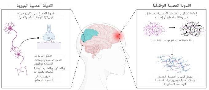 كورسات _ courses tweet media