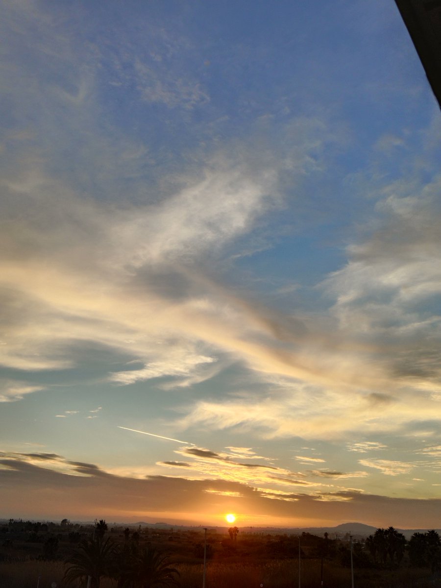 Sinopsis tweet media