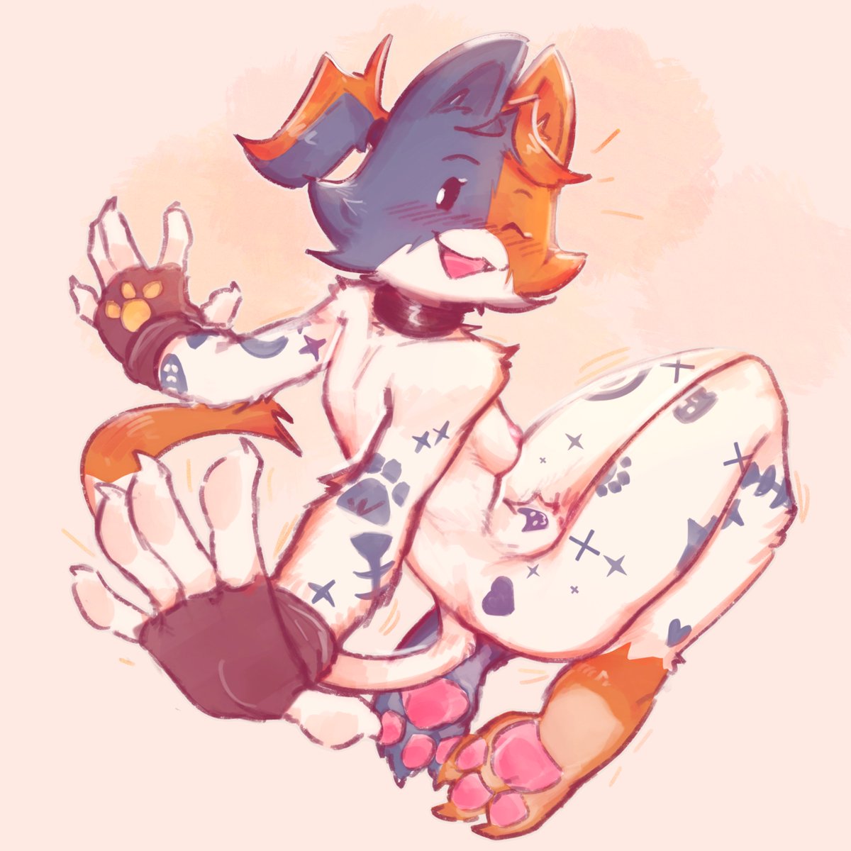 C3ilin (Hiatus) tweet media