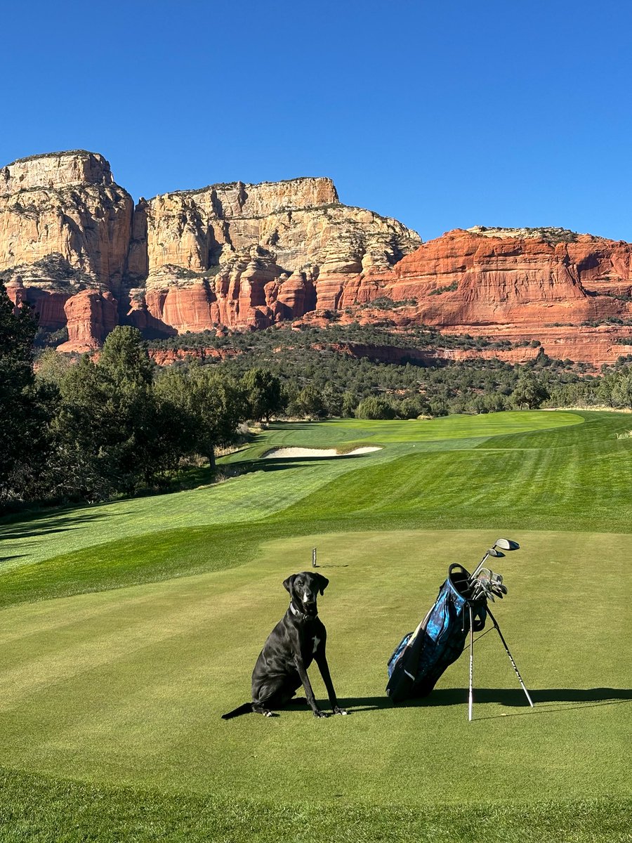 Em Casey tweet media