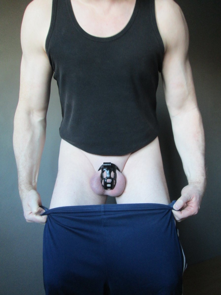 Chastityboy 🐾 tweet media