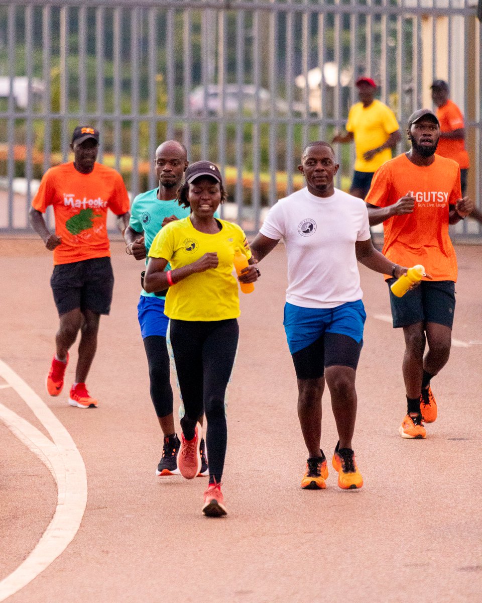 Gutsy Bunch tweet media