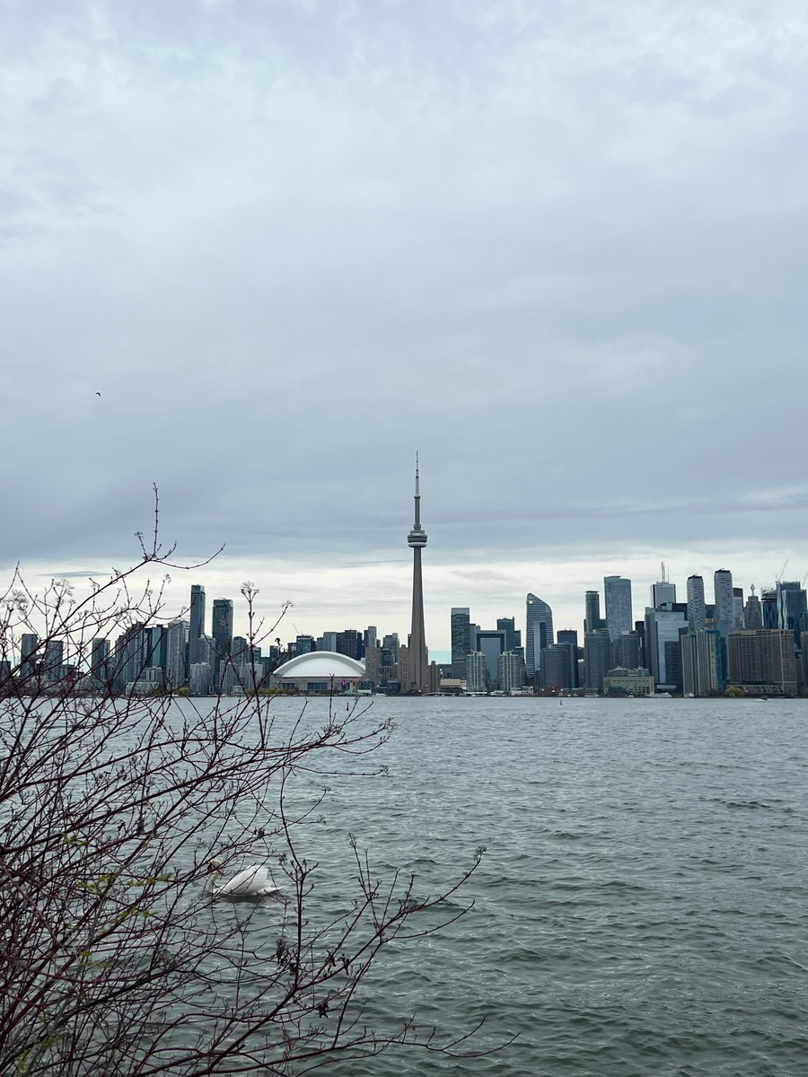 The Waterfront BIA tweet media