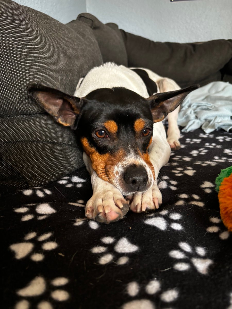 Carter Subaru tweet media