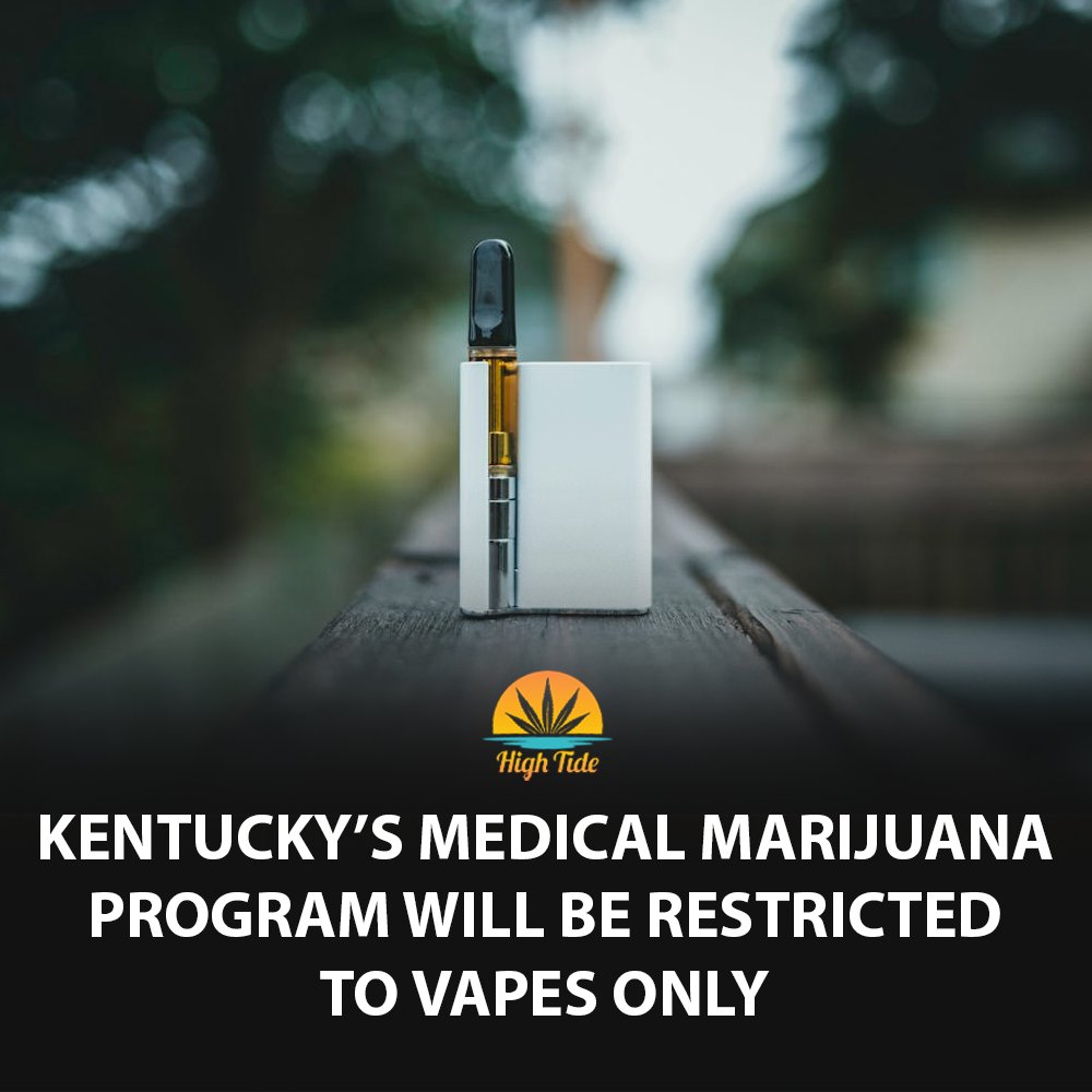 High Tide tweet media