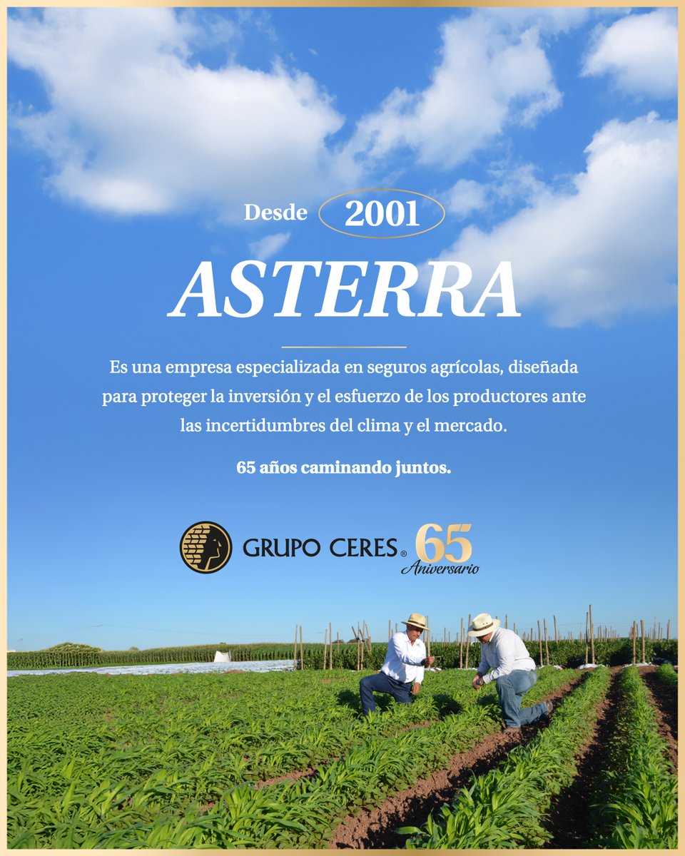 Al fundar Asterra, fortalecimos nuestro compromiso con el agricultor, ayudandolo a proteger su inversión y esfuerzo con seguros agrícolas a la medida.
.
.
.
.
.
.
#Grupoceres #grupo_ceres #grupoceres65aniversario #historia #campo #campomexicano #agricultor #agricultores #sinaloa