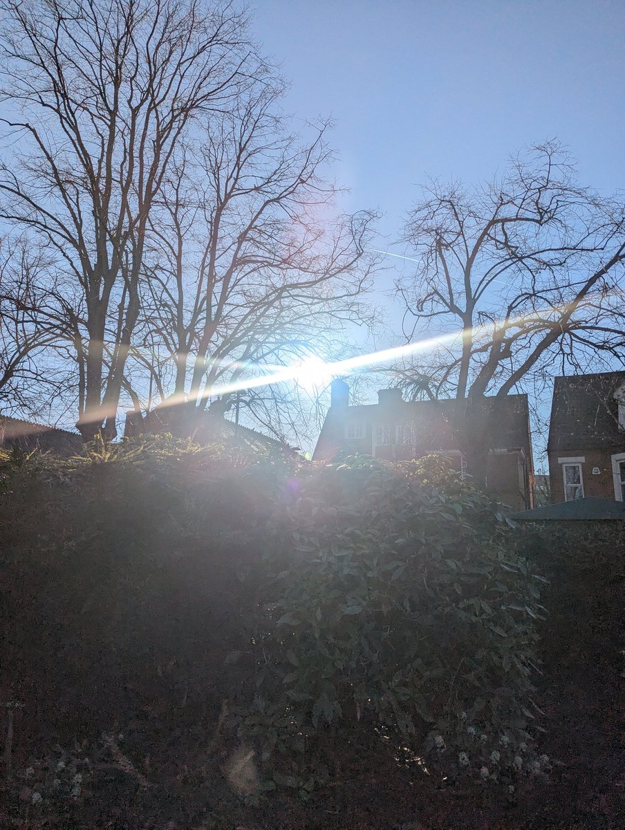 Gabriel 🦸🏻 tweet media