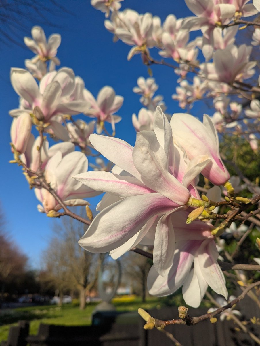 Gabriel 🦸🏻 tweet media