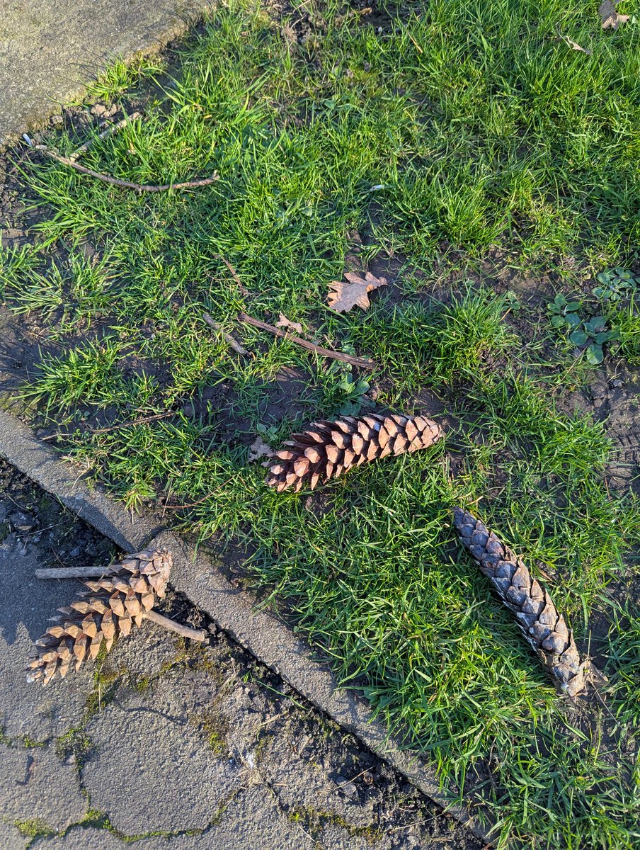 Gabriel 🦸🏻 tweet media