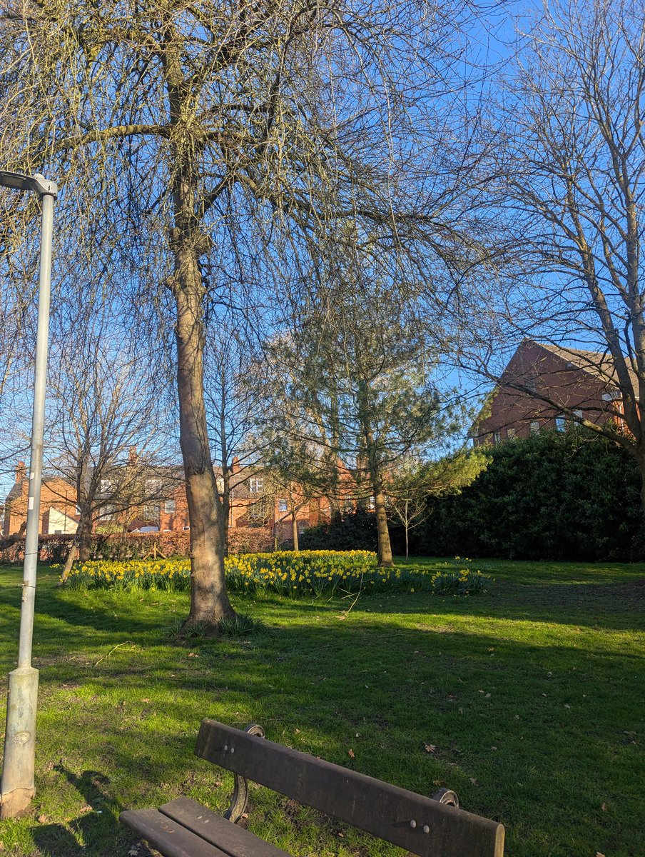 Gabriel 🦸🏻 tweet media