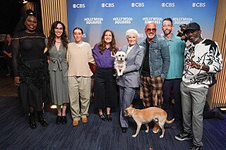 TV Tango tweet media