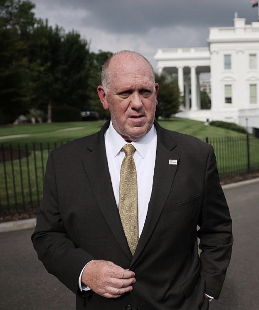 Donald Trump Jr Commentary Q tweet media