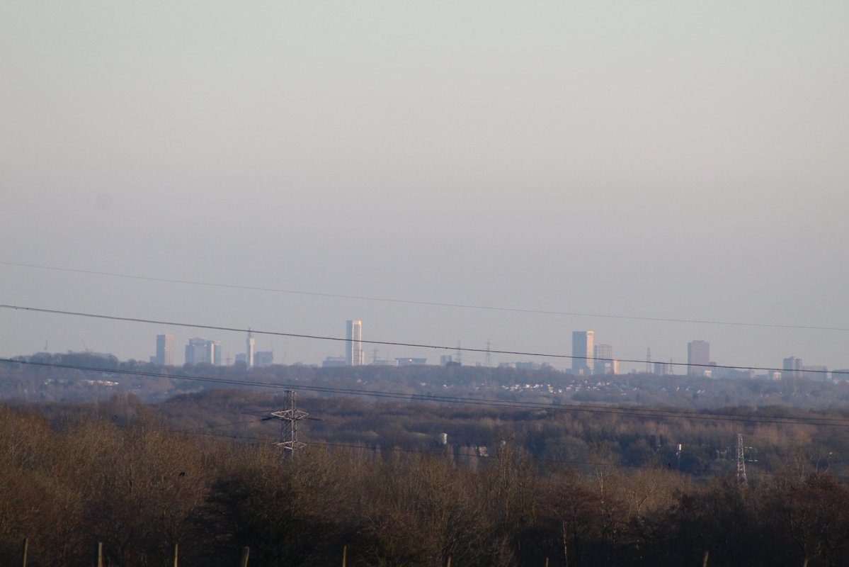 Benedict tweet media